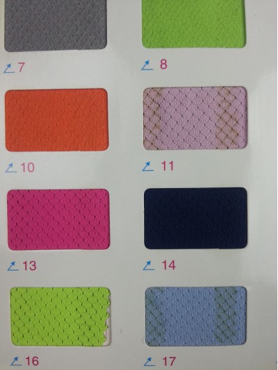 GZ-CIWI  精品雙色網     170G 後面照